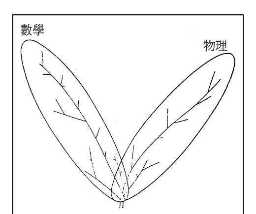 数学笑话 【物理数学】杨振宁经典数学笑话论数学和物理的关系
