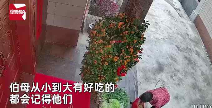 全家回城男子打开老家监控 看到伯母将刚摘蔬菜放门口 瞬间鼻酸