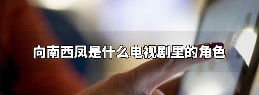 向南西凤是什么电视剧