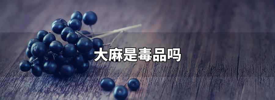 大麻是毒品吗