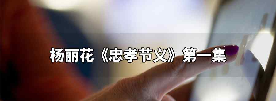 杨丽花忠孝节义第一集