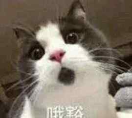 标题的英文 实用！英语标题中哪些词需要大写？文章配图