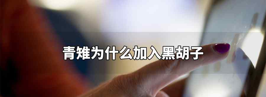 青雉为什么加入黑胡子