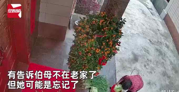 全家回城男子打开老家监控 看到伯母将刚摘蔬菜放门口 瞬间鼻酸
