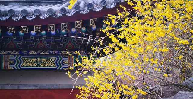 香山公园门票 香山公园关于执行旺季开放时间及票价的通告