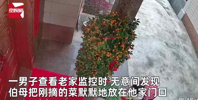全家回城男子打开老家监控 看到伯母将刚摘蔬菜放门口 瞬间鼻酸