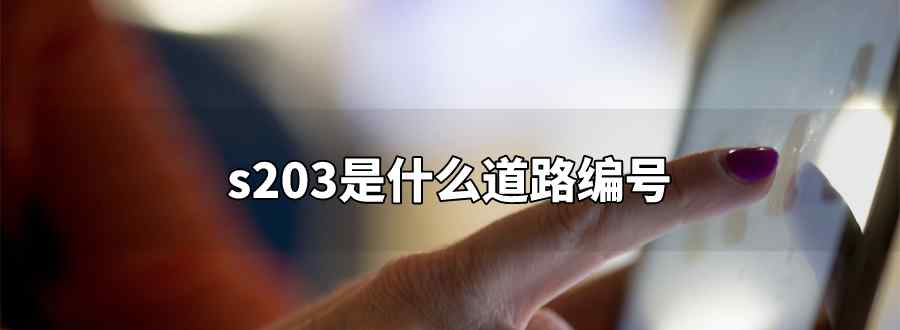 s203是什么道路编号