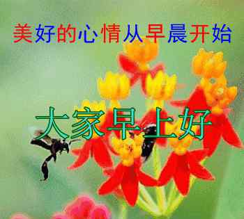 清晨阳光图片 新的一天早晨好祝福语图片 早晨阳光句子