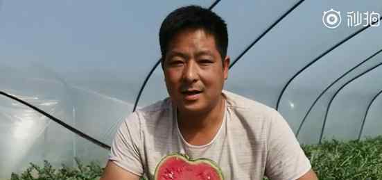 瓜农种心形西瓜520赠爱妻 这个小伙子太有心了