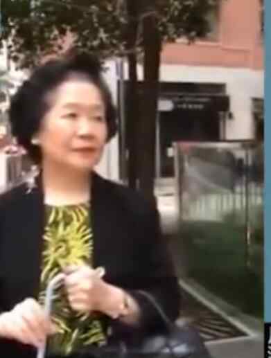 香港市民街头怒怼陈方安生 陈方安生都做了些什么