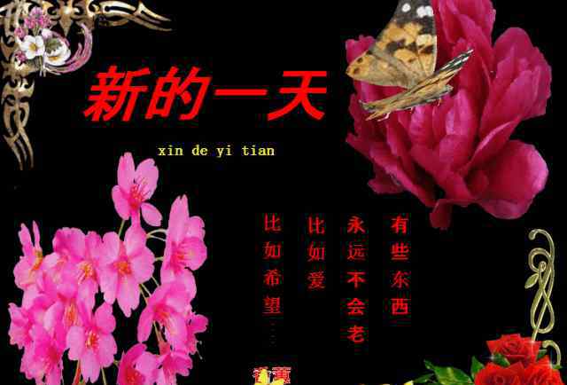 清晨阳光图片 新的一天早晨好祝福语图片 早晨阳光句子