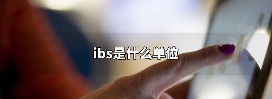ibs是什么单位