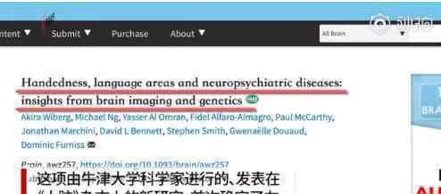 左撇子语言能力更强  科学家研究表明