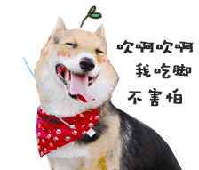 家庭微信群温馨的名字 看到这些家庭微信群名字，笑炸了！你的家庭微信群叫啥?