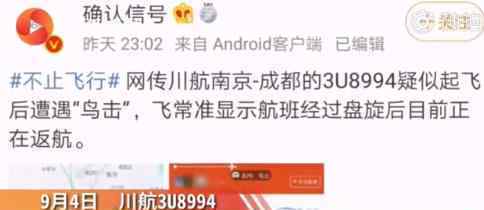 川航客机深夜遭鸟击返航是怎么回事?具体情况是什么?