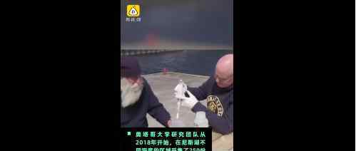 尼斯湖水怪可能是巨型鳗鱼地球未解之谜就此解开