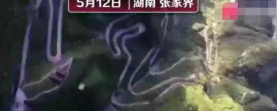 翼装飞行失联女生母亲抵张家界 失联原因暂不明