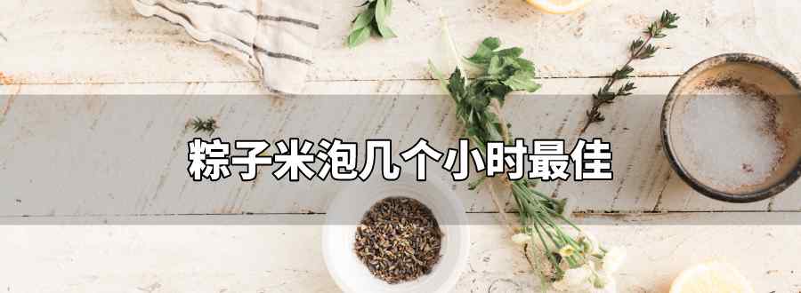 粽子米泡几个小时最佳