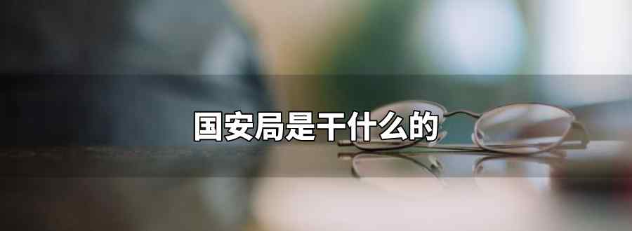 国安局是干什么的