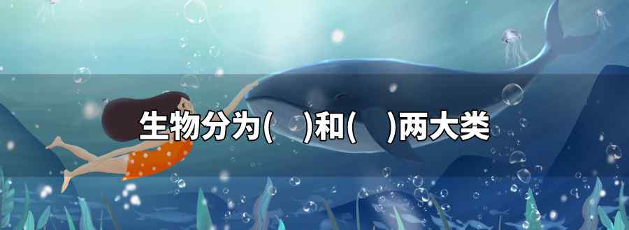 生物分为什么和什么两大类