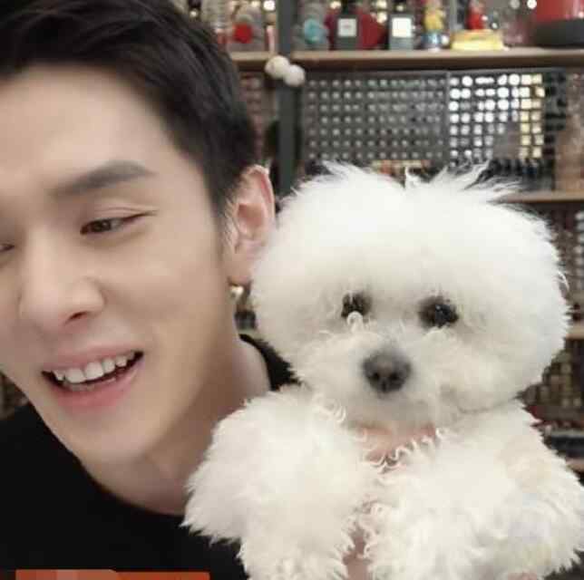 李佳琦小助理转幕后做合伙人 直播间观众哭晕了