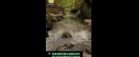 北极下塑料雪 什么是塑料雪有什么危害