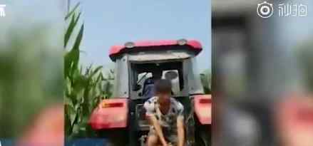 马戏团脱逃老虎已死亡 马戏团脱逃老虎怎么死的死因是