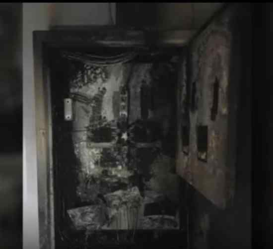 台北故宫起火 故宫文物有无烧毁具体情况如何