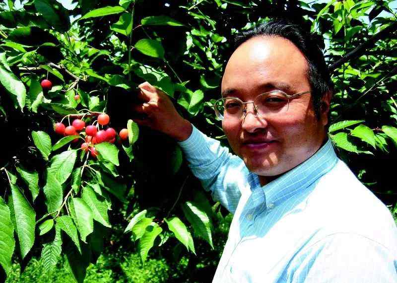 水果大王 从“水果疯子”到“水果大王”，背后那些不为人知的故事...