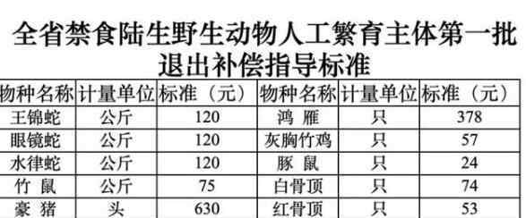 湖南竹鼠每公斤补75元 究竟原因是什么