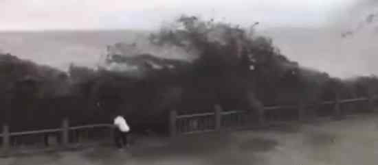 拍钱塘江大潮遭巨浪瞬间吞没 具体情况是什么