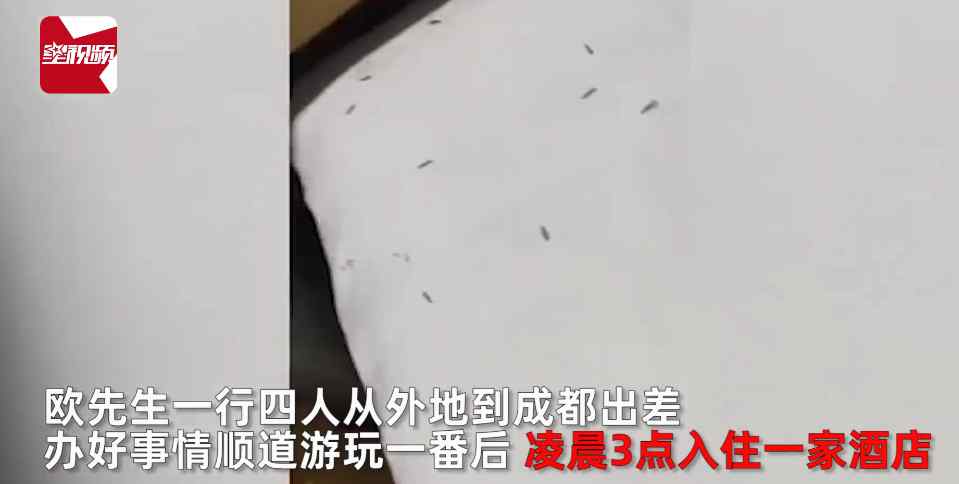 男子出差住酒店深夜有东西在脸上爬 开灯一看瞬间发麻：满床白蚁！