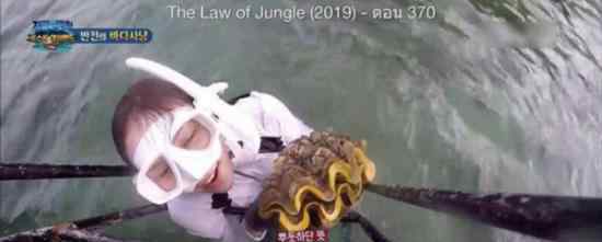 网友请愿追责丛林法则节目组 巨型蛤蜊有多珍贵