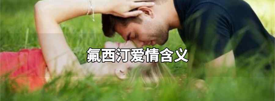 氟西汀爱情含义