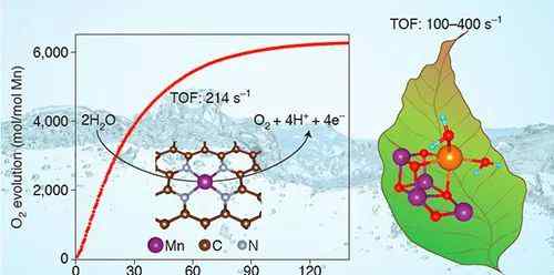 原初反应 【基金成果快讯】大连化物所发现单核锰催化剂的水氧化活性可媲美自然光合作用催化剂