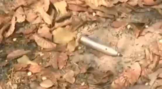 印度安全部队22人在与武装人员交火中身亡 现场画面曝光！