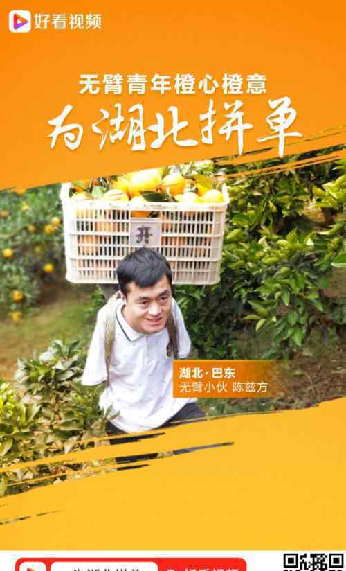 3.6吨血橙无偿捐赠武汉医护 究竟是怎么回事