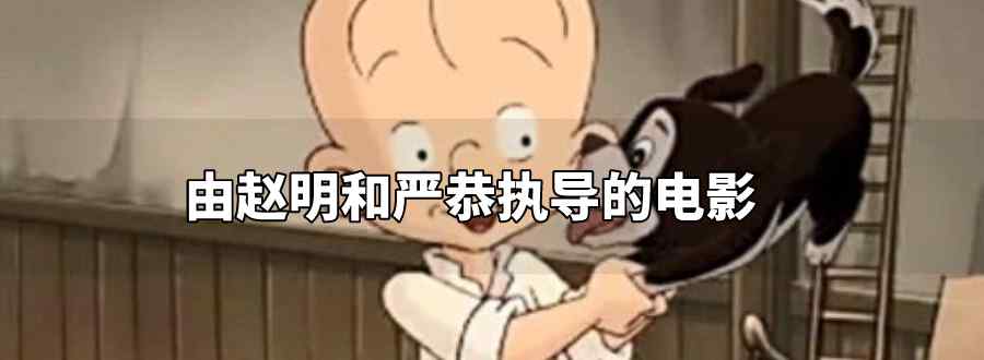 由赵明和严恭执导的电影
