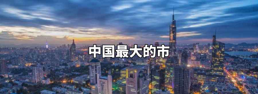 中国最大的市