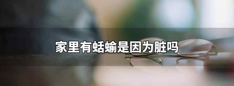 家里有蛞蝓是因为脏吗