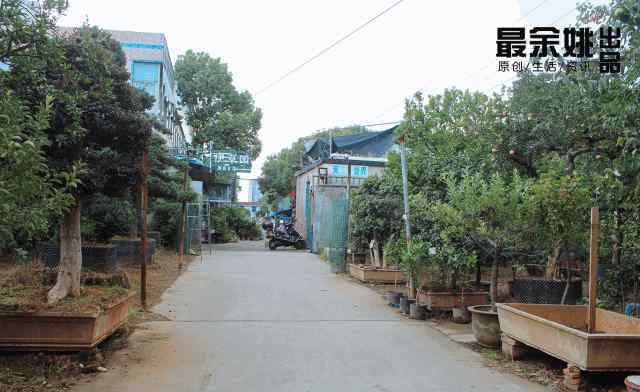 办公桌旧货市场 下一站，余姚旧货花鸟市场！