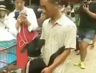 男子2600元卖掉自己的狗 狗子下一秒反应让人泪目背后真相实在让人泪崩
