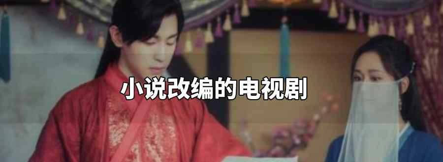 小说改编的电视剧