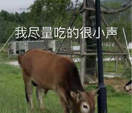 学校的超静音除草方法 具体是什么情况