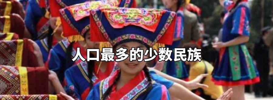 人口最多的少数民族