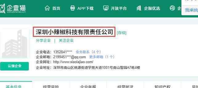 王晓雁加盟小米 为什么要加盟小米