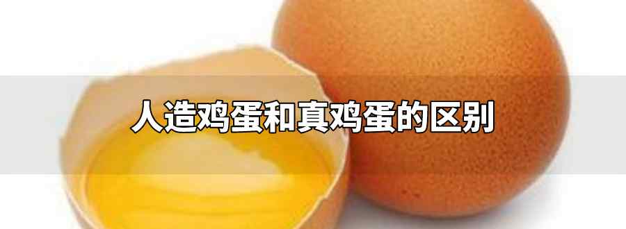 人造鸡蛋和真鸡蛋的区别
