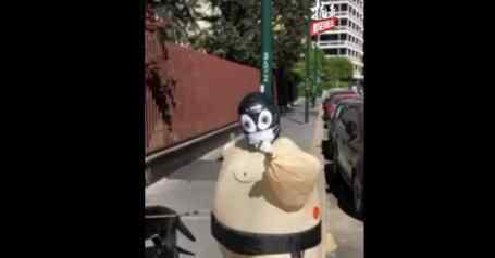 女子出门遛狗这样做防护 邻居看见直呼太牛了背后真相实在让人惊愕