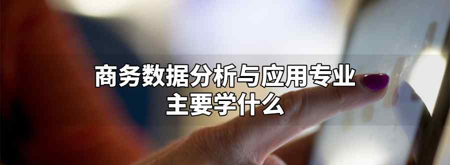 商务数据分析与应用专业学什么