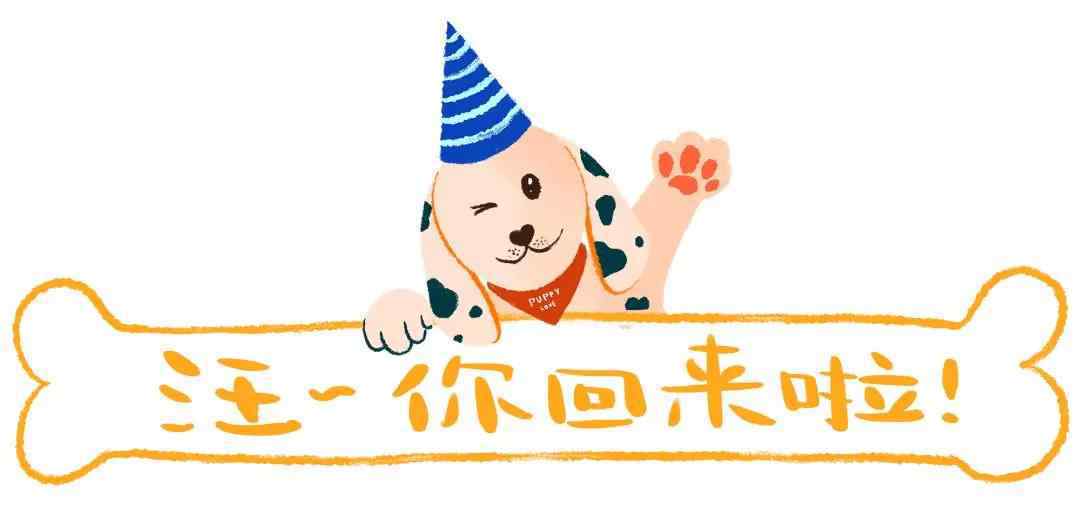 gody 主人一觉醒来发现狗狗浑身是血，走近一看全家爆笑！